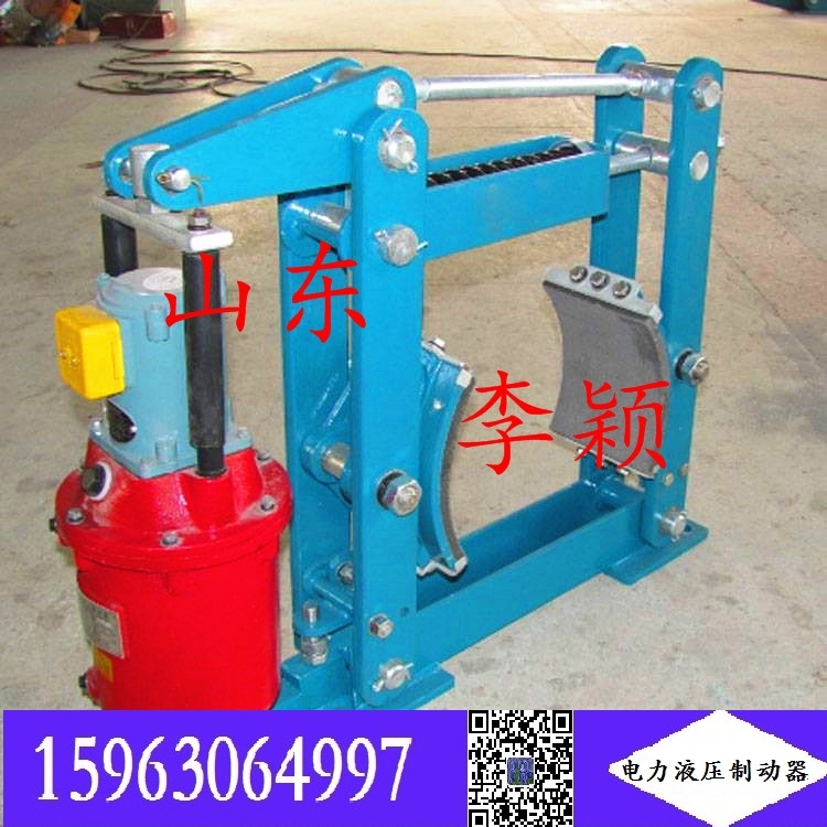 電力液壓制動(dòng)器 YWZ4-300/80 制動(dòng)器2023 前途似錦